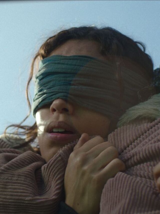 Bird Box Barcelona