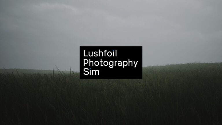 Lushfoil Photography Sim é um jogo indie de simulação de fotografia com foco em paisagens detalhadas de locais do mundo real
